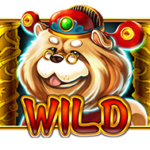 wild-5