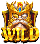 สัญลักษณ์ Wild