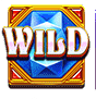 Wild-Booster[1]