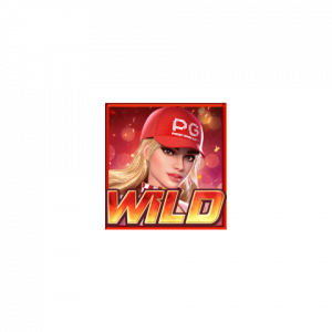 สัญลักษณ์ Wild