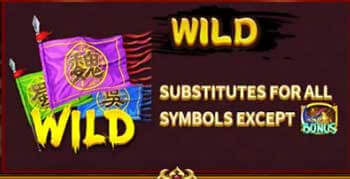 สัญลักษณ์ Wild