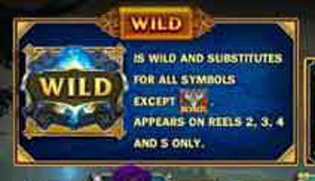 สัญลักษณ์ Wild