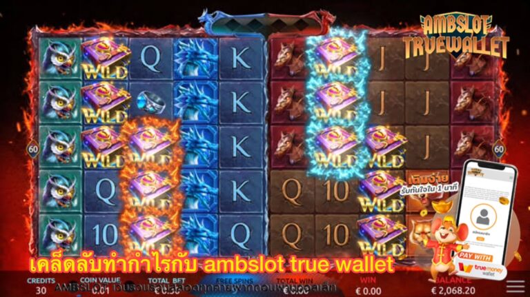 ambslot true wallet